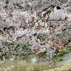 ４月サムネイル