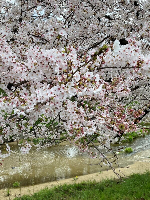 ４月サムネイル